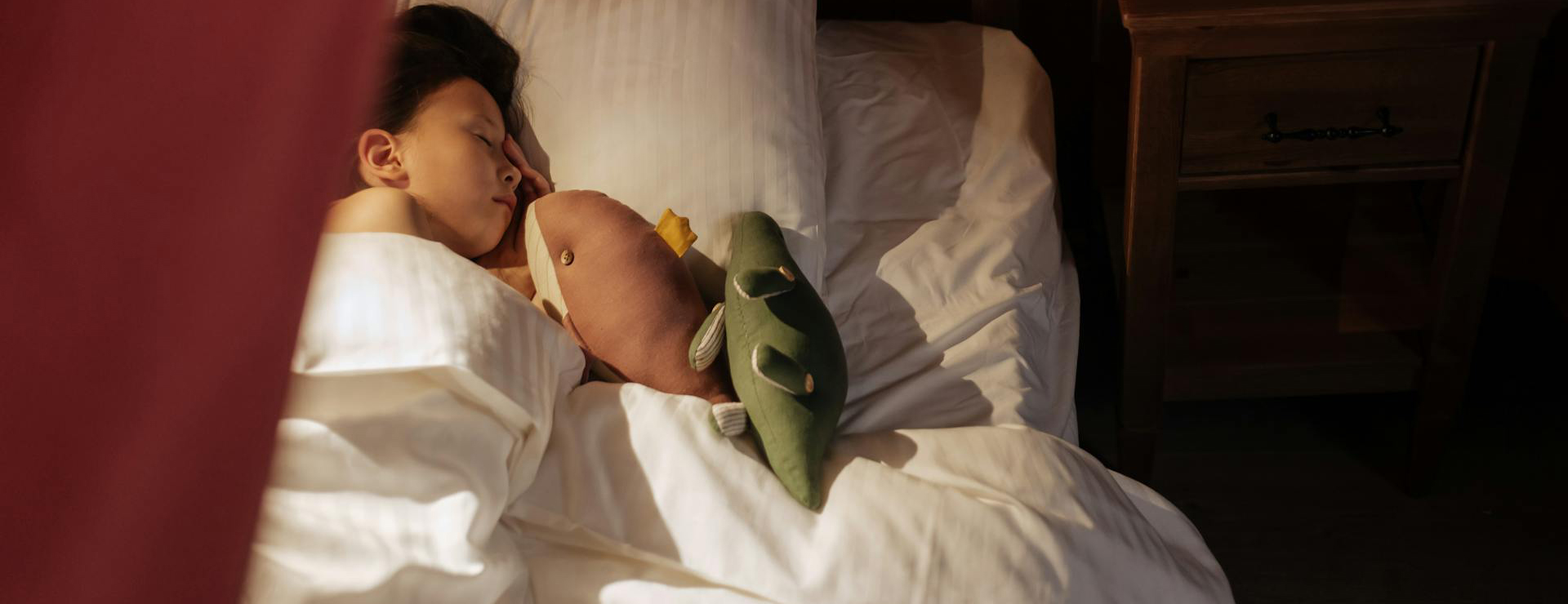 Voorkant -Pluchen Speelgoed pexels ron lach 9874617